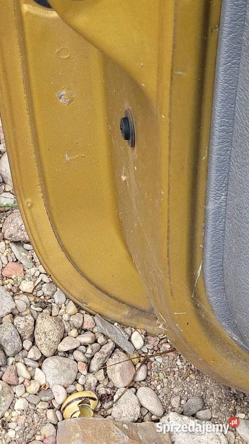 Drzwi Renault Clio II Łagów sprzedam
