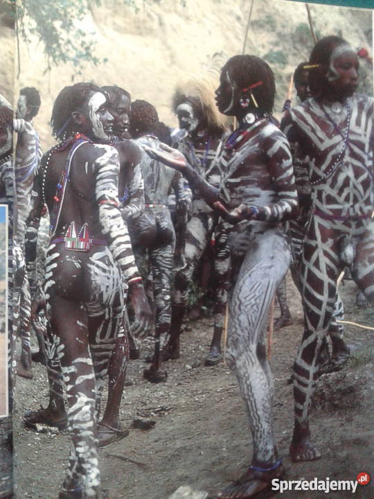 ZWIERZĘ ZWANE CZŁOWIEKIEM Desmond Morris Książki naukowe i popularnonaukowe Leszno