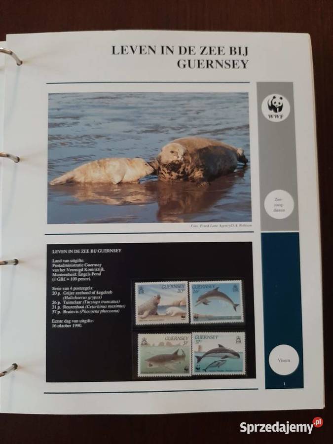 World WWF Kolekcja w specjalnych albumach Konin