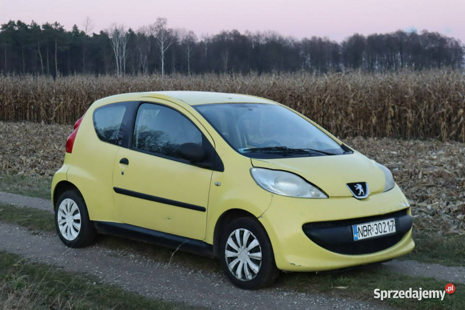 Peugeot 107 10 Benzyna 2008r Tanio Możliwa