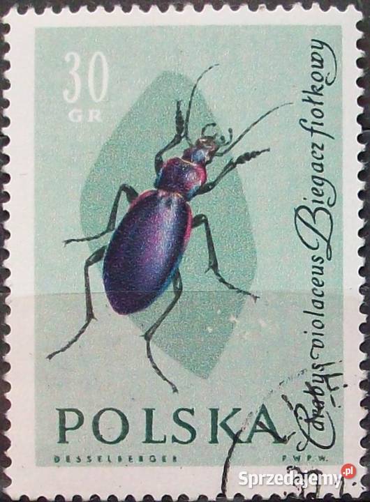 Polska1132113311341135113611371138113911401141114 Filatelistyka Leźnica Wielka sprzedam