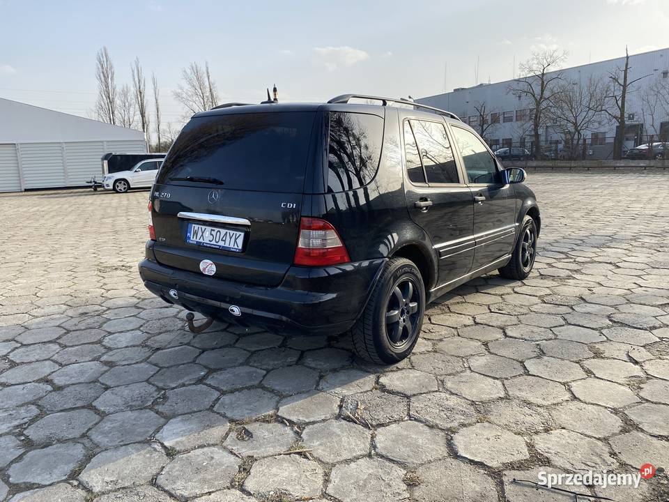 Czarny Menel idealny w teren Warszawa sprzedam