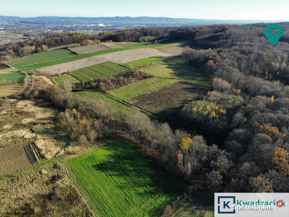 Ogłoszenie grunt Podniebyle 6100m2 rolna