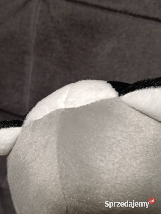 gang słodziaków 2 maskotka borsuk Bartek Poznań