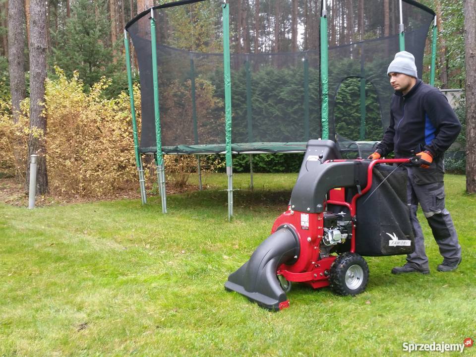 Grabienie liści mazowieckie Sulejówek prace ogrodowe
