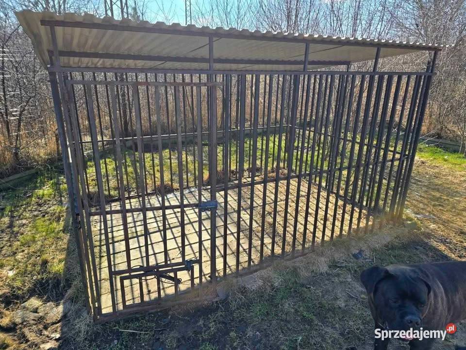 Kojec metalowy psa łódzkie Sieradz