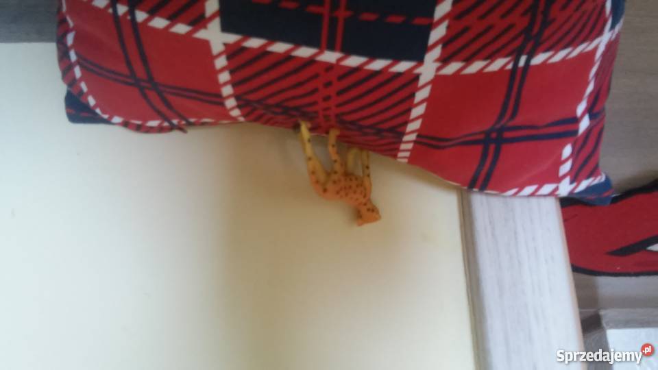 zabawka gepart śląskie Częstochowa