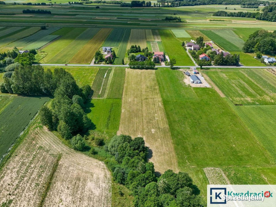 sprzedaży gruntu 2600 metrów Bzianka