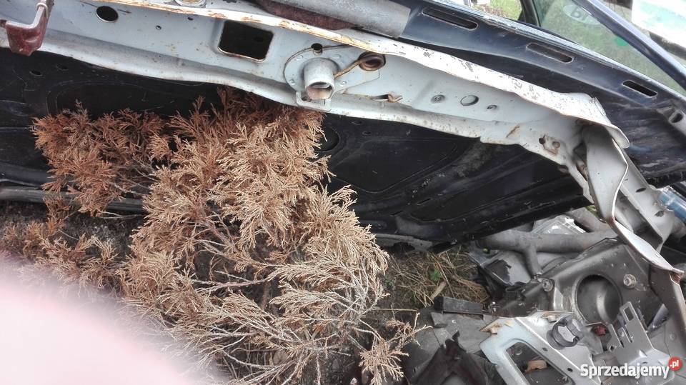 Opel Vectra B 98r Przedni pas osobowe Karoseria Karoseria