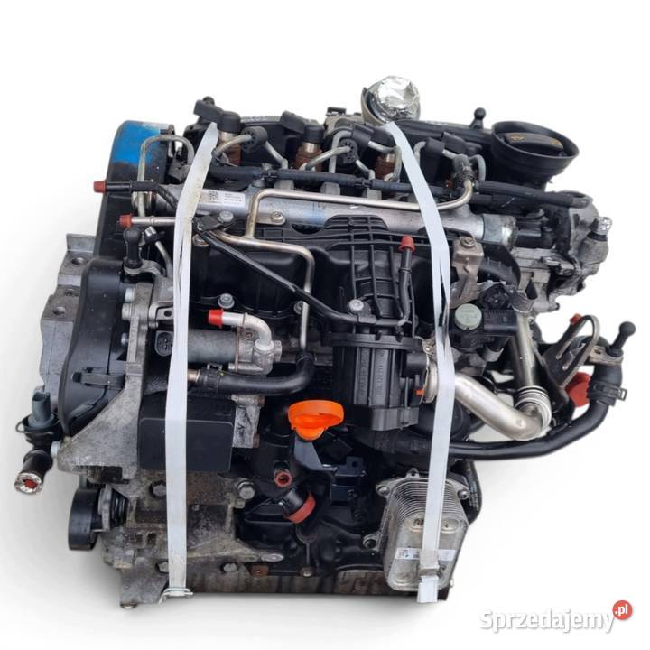 SILNIK BEZ OSPRZĘTU Seat Leon II 16 TDI 105 Silniki kompletne Chełm