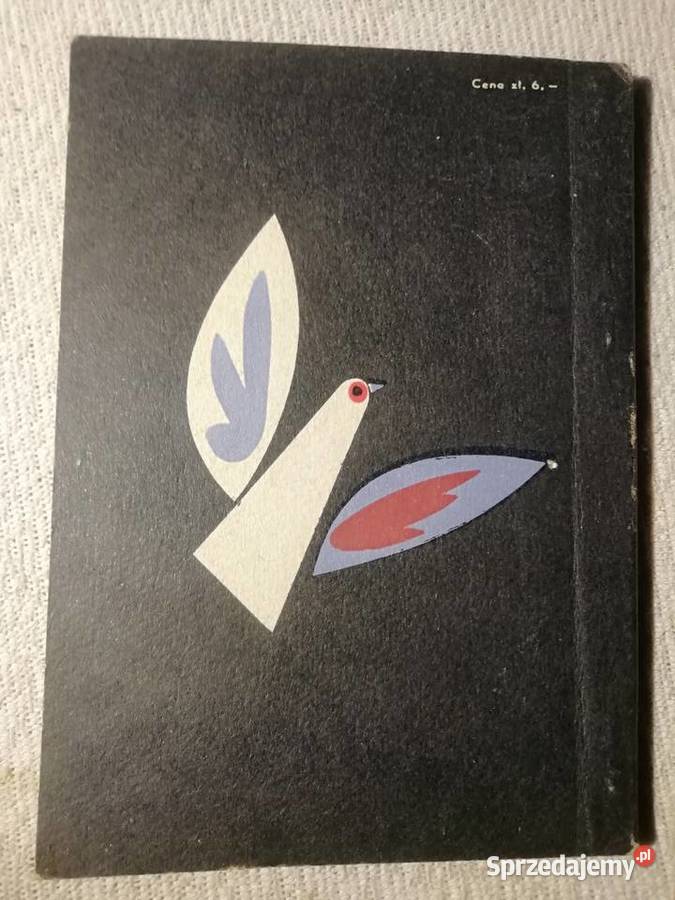 Seria Mój Konik Kot Pies Kaktusy Gołębie miękka