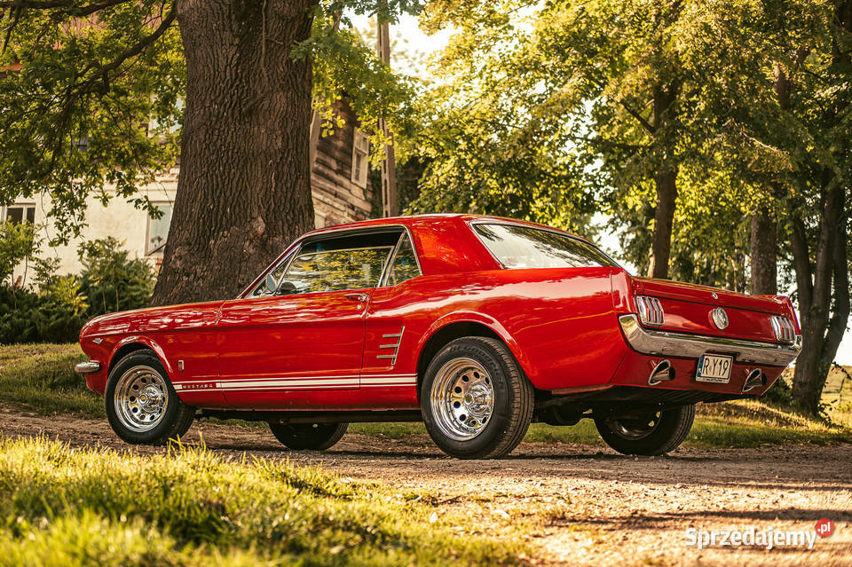 Sprzedam Ford Mustang 1966 V8 102km Łańcut sprzedam