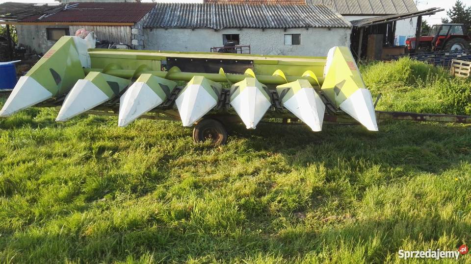 przystawka do kukurydzy claas 6 rzedowa dolnośląskie Legnica