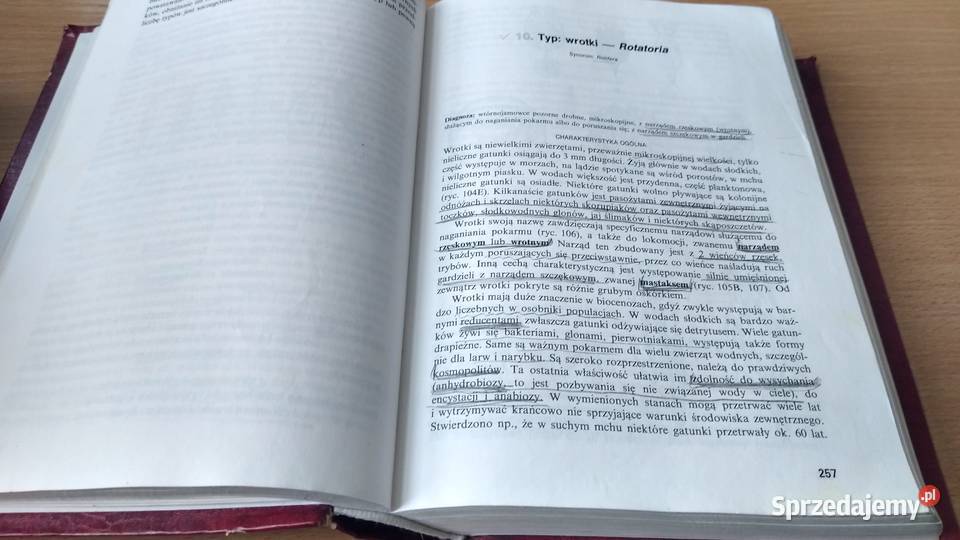 Bezkręgowce podstawy morfologii funkcjonalnej Gdańsk