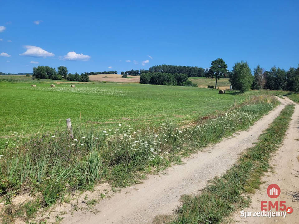 sprzedaży działki Dobra Wola 3669m2 warmińsko-mazurskie