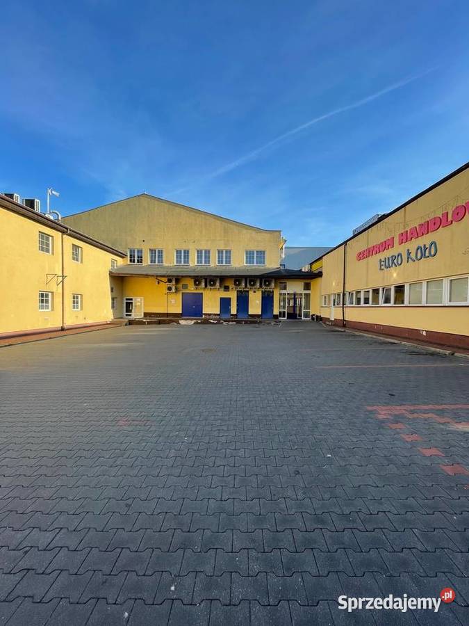   LOKAL UŻYTKOWY NA WYNAJEM CENTRUM KOŁA PARTER od ulicy Koło sprzedam