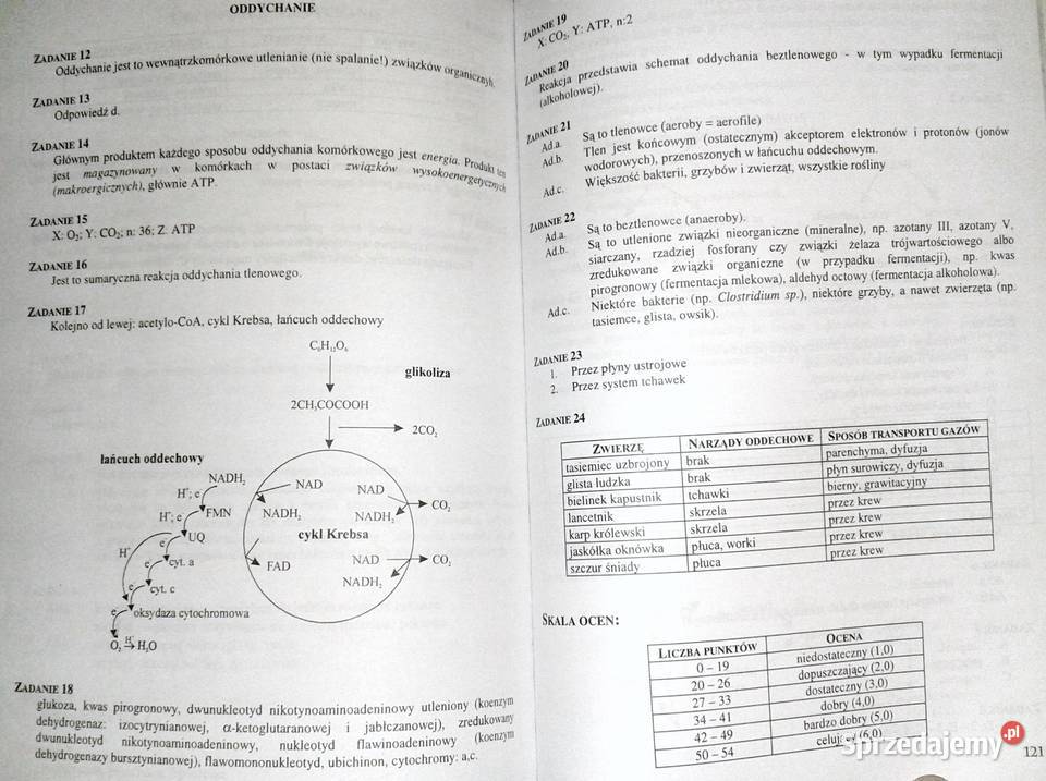 Testy maturalne biologia Andrzej Bajus Chełm sprzedam