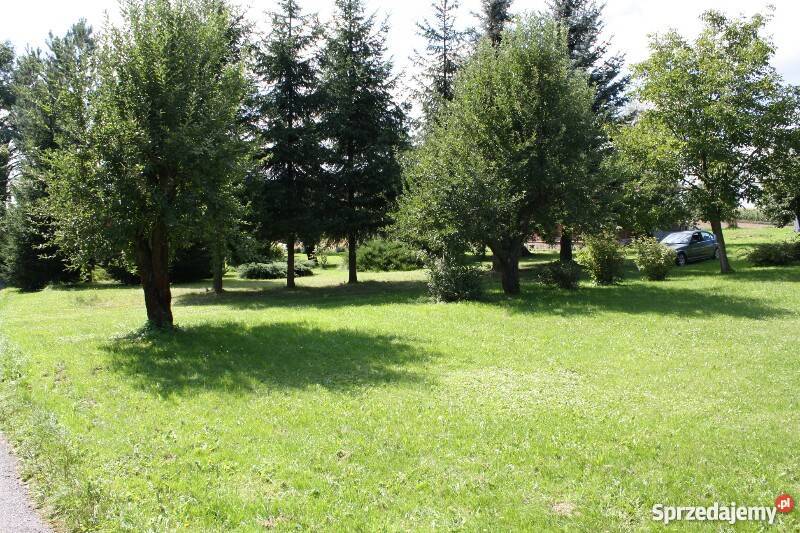 Dom na sprzedaż Na Jurze krakowsko 101m2