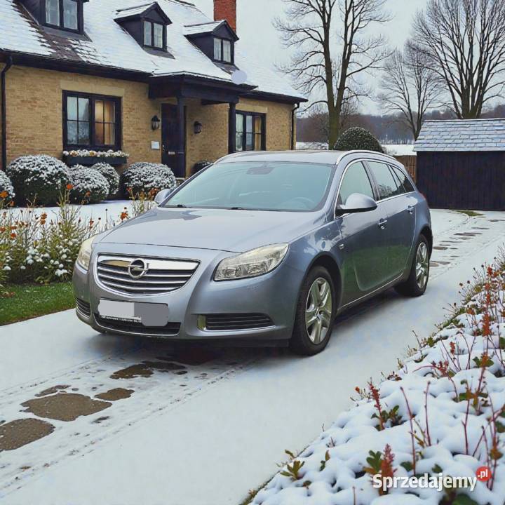 Opel Insignia Idealny Stan Auta Serwis ASO zachodniopomorskie Kołobrzeg