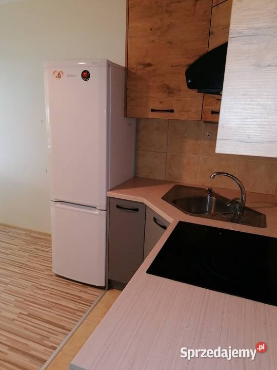 Mieszkanie do wynajęcia 384 m2 parter Ropczyce