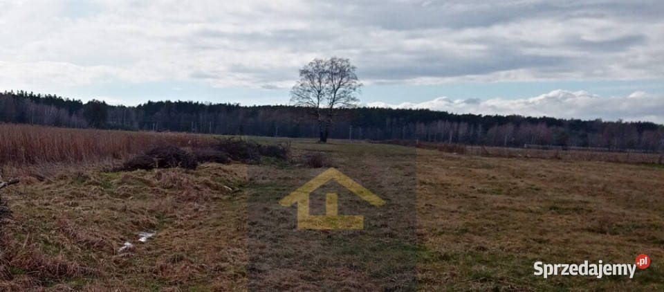 Do sprzedaży działka Chrosna mazowieckie