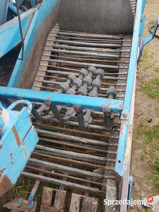 Kombajn do ziemniaków Bolko Z643 przystawka do nieuszkodzony Do ziemniaków i warzyw Skaryszew