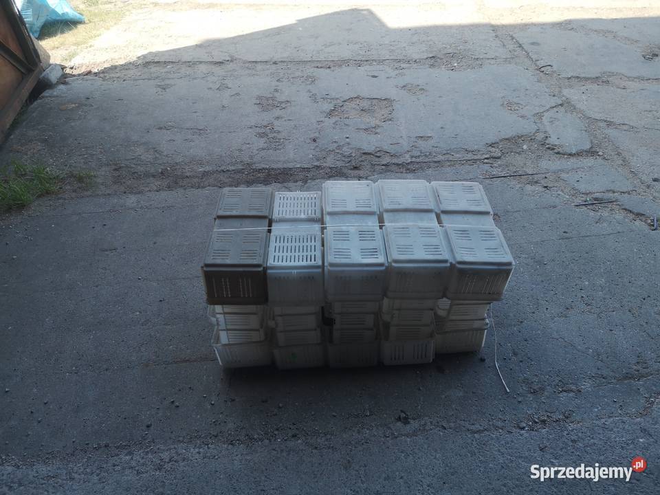 Łubianka plastikowa używana