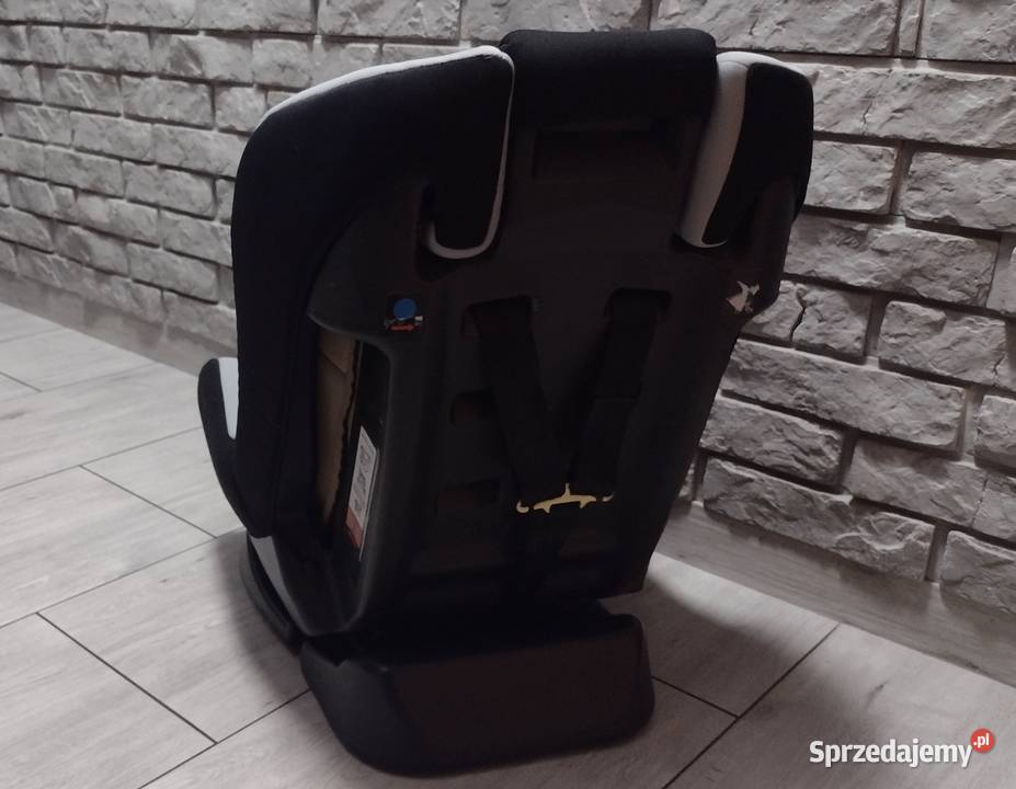 fotelik samochodowy 0 18 Fun Baby Gabi szary Libiąż