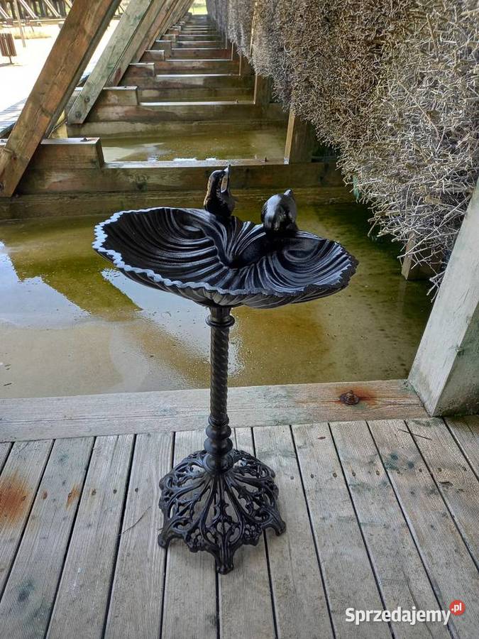 PROMOCJA PIĘKNE POIDEŁKOKARMNIK OGRODOWY