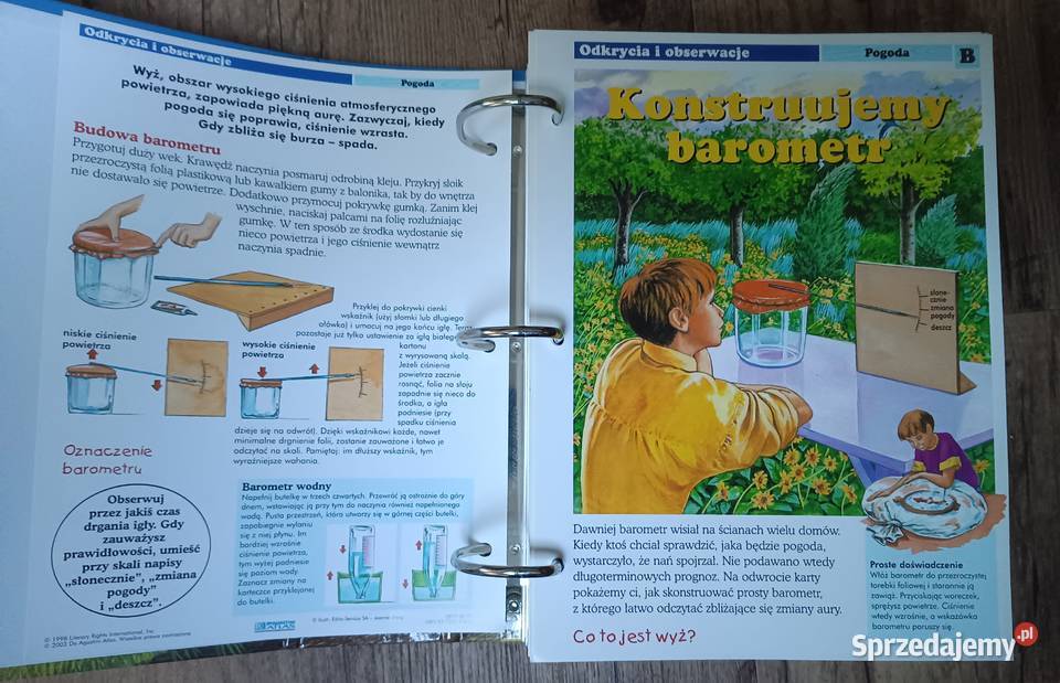 Leśne przygody karty z albumu DeAgostini Książki i Podręczniki Zbylitowska Góra sprzedam