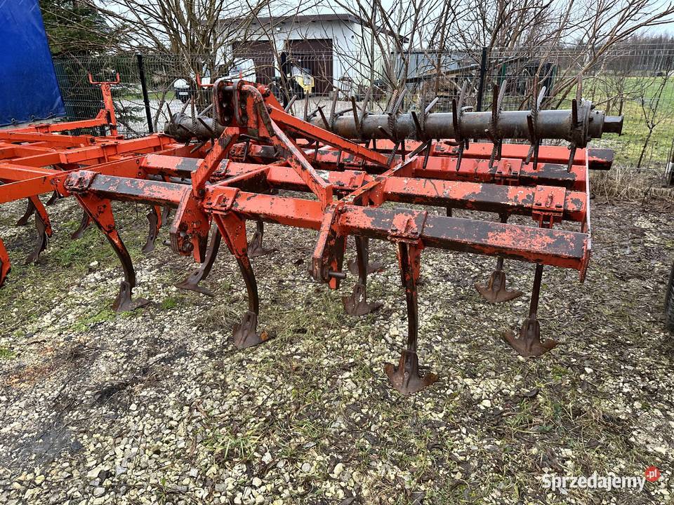 Gruber landsberg 11łap świętokrzyskie Włoszczowa