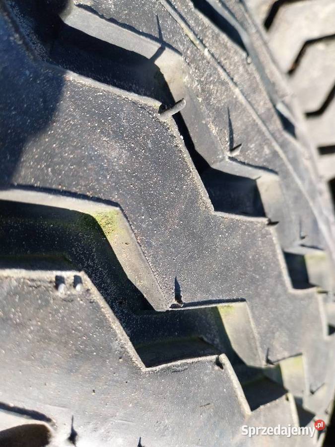 Opony Taifa 1000R20 Borek