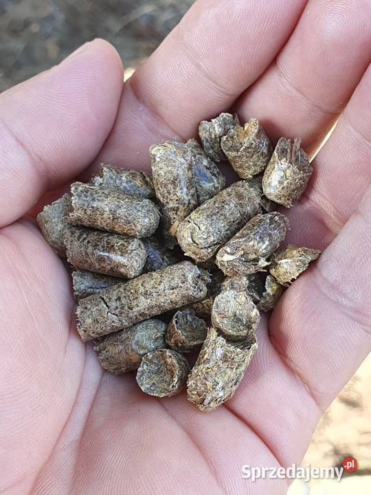 Pellet Polana Zrębki Drewno Brykiet Pelet Zamość sprzedam