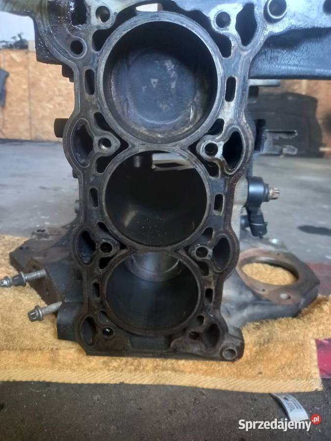 Z10XEP 10 12V Opel Blok Silnika Wał Corsa