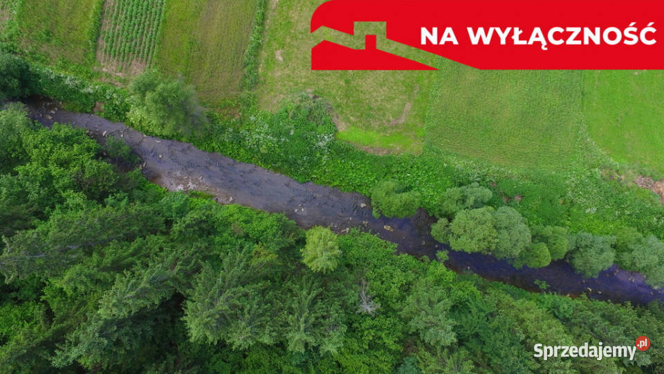 Działka strumyku Łapsze Niżne