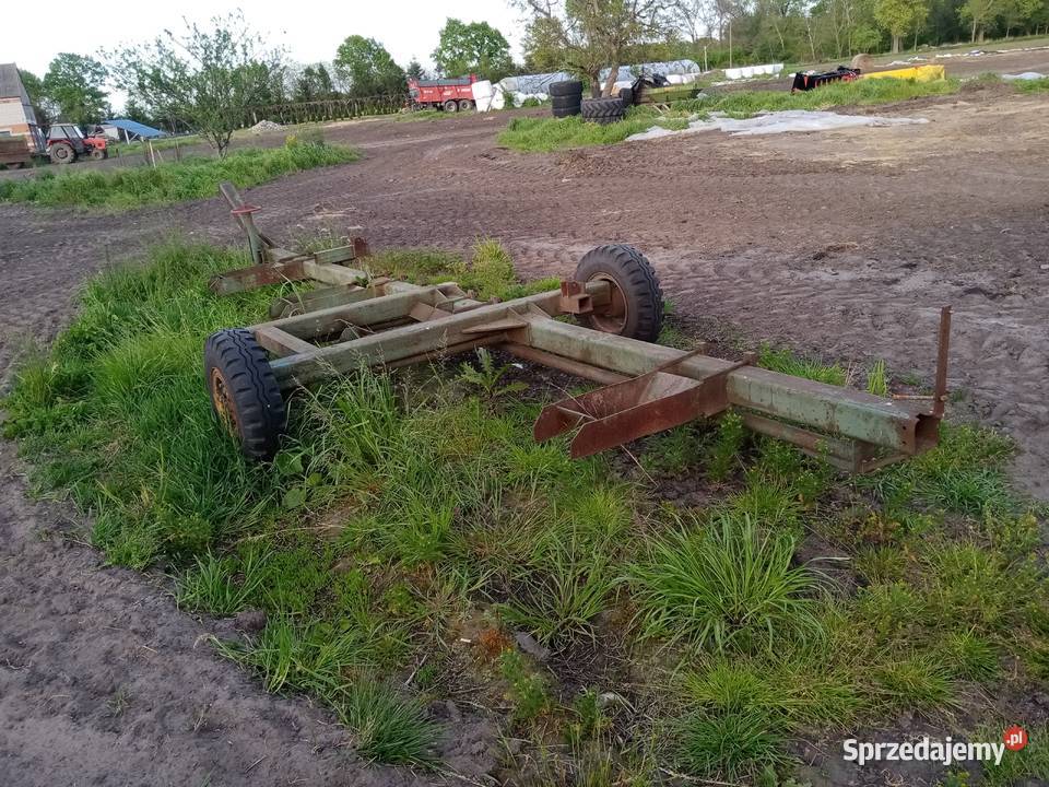 Siewnik Pneumasen osmiożedowy do kukurydzy nieuszkodzony Kościan sprzedam