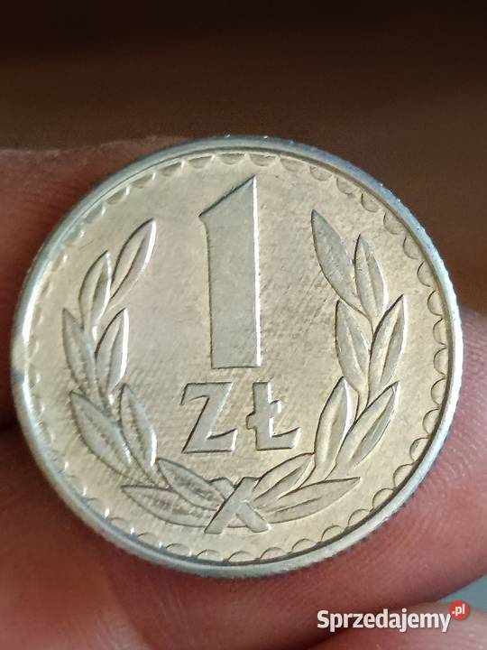 Sprzedam monete 1 zloty 1986 r odkroj blachy ttt Chełm