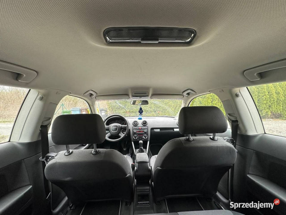 Audi A3 3drzwiowe Audi A3 8P 20TDI BMM 8V 140 nieuszkodzony Wrocław