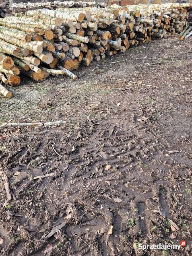 Drewno opałowe Kamieniec Ząbkowicki