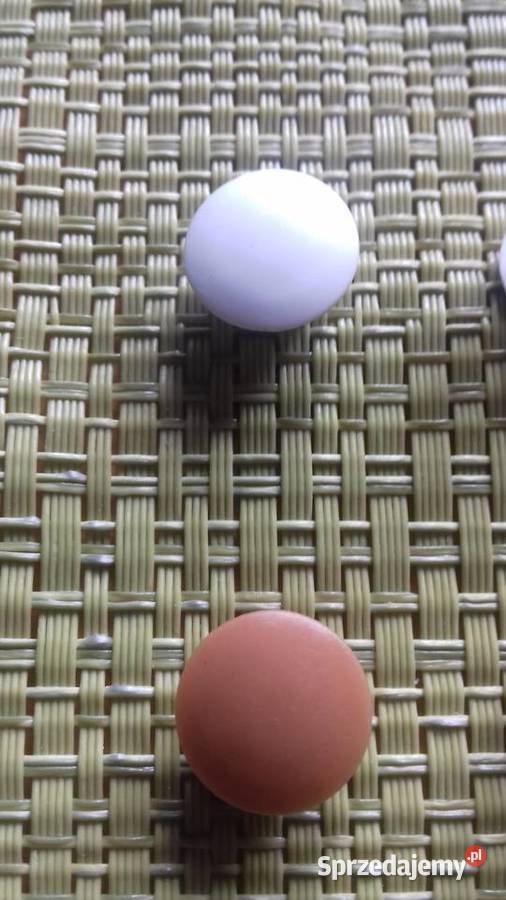 Zaślepki meblowe 10 Dom i Ogród Małkinia Górna