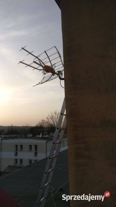 Anteny TV Sat ustawianie montaż Nc Cyfrowy Lwówek Śląski