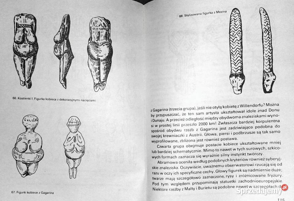 Wenus epoki lodowej Rudolf Drssler Chełm