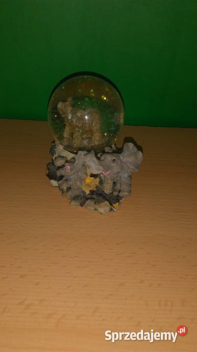 Słonik z kulką Warszawa