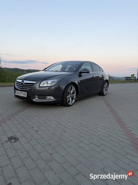 Opel Insignia 1956cm3 Frysztak
