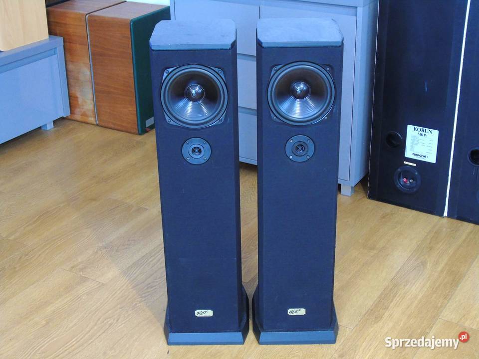 Duńskie kolumny audio świetne stereo DOSTAWA Jasło