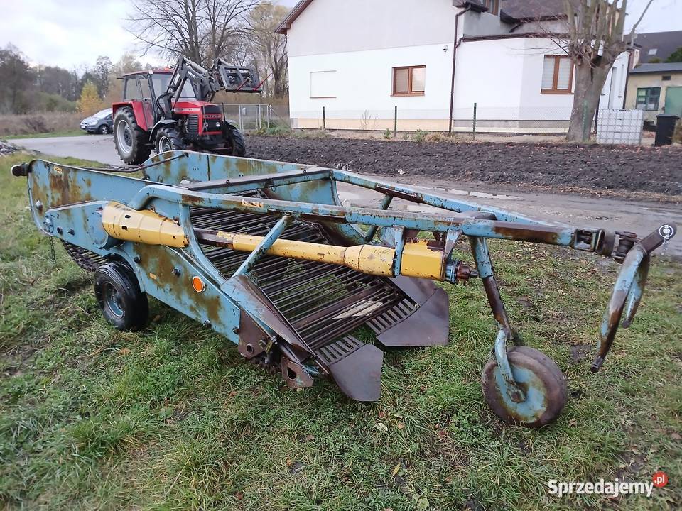 Kopaczka elewatorowa Kopaczka do ziemniaków Kopaczki Rzgów
