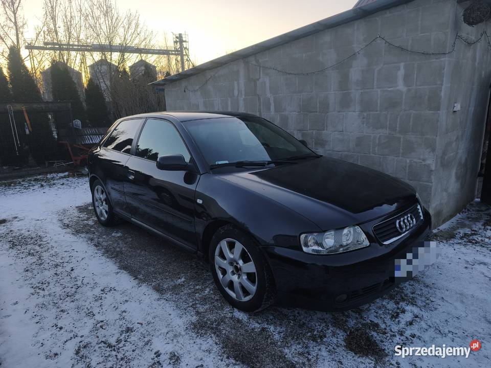 Audi a3 8l 19tdi quattro Hrubieszów