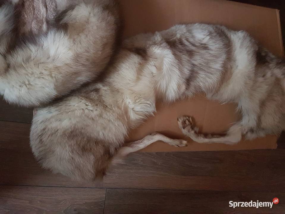 Ślubna biała suknia z kamyczkami Spódnice i sukienki małopolskie Kraków