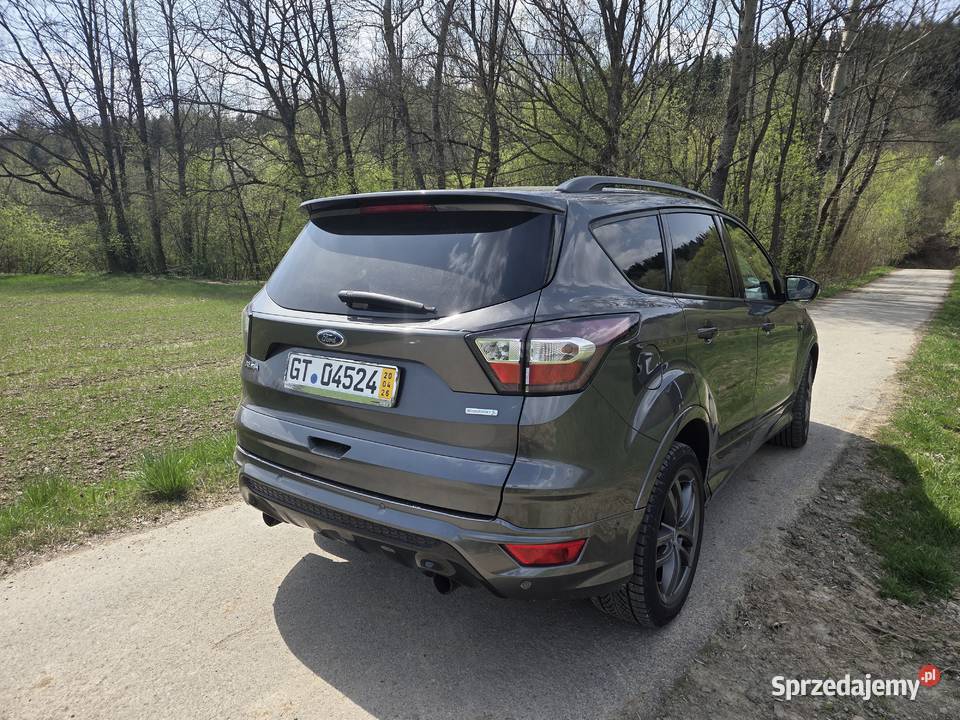 Ford kuga Kuga małopolskie Rogi