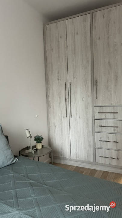 Wynajmę mieszkanie 3 piętra i więcej Katowice sprzedam